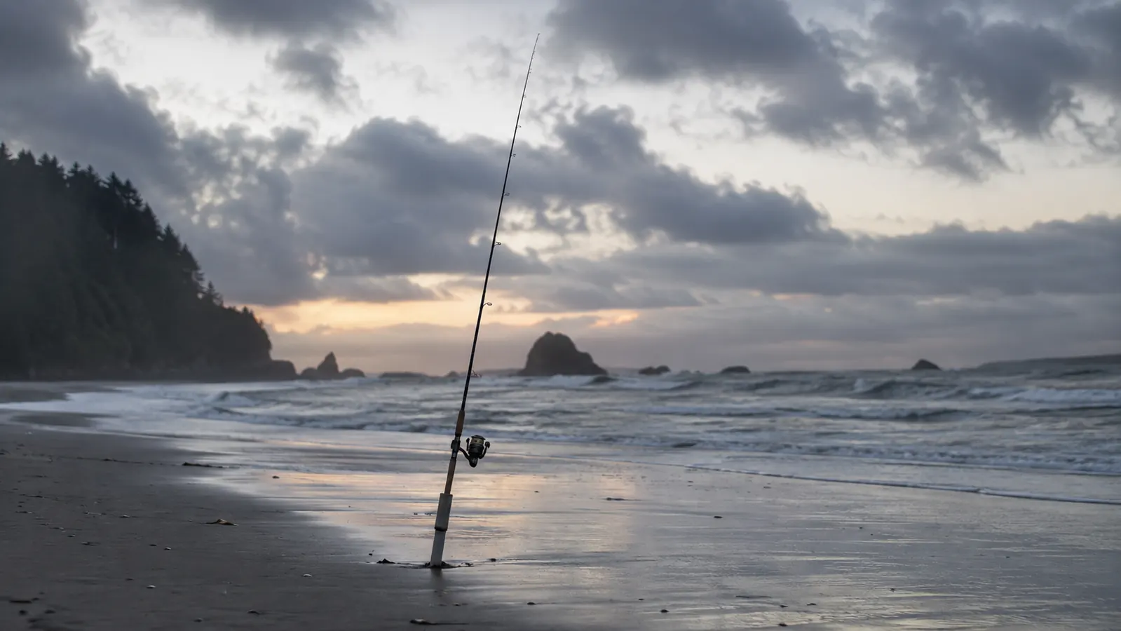 A spinning rod set in a sand spike on a Pacific Northwest beach at dawn with low surf